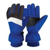 Waterproof Ski Gloves